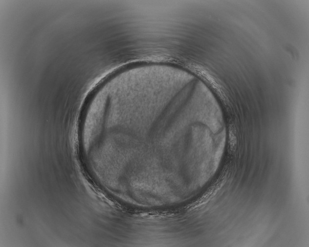 X0000111600532200908131405