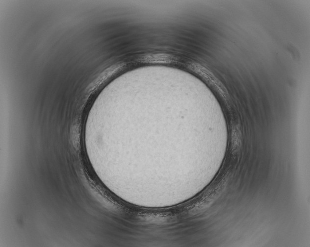 X0000111600533200908131405