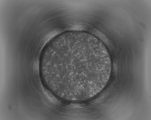 X0000111600534200908131405