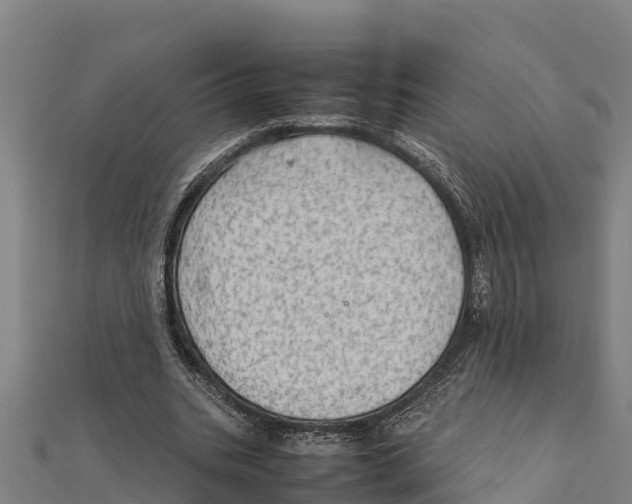 X0000111600535200908131405