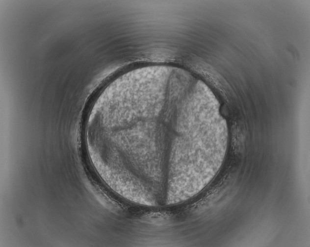 X0000111600536200908131405