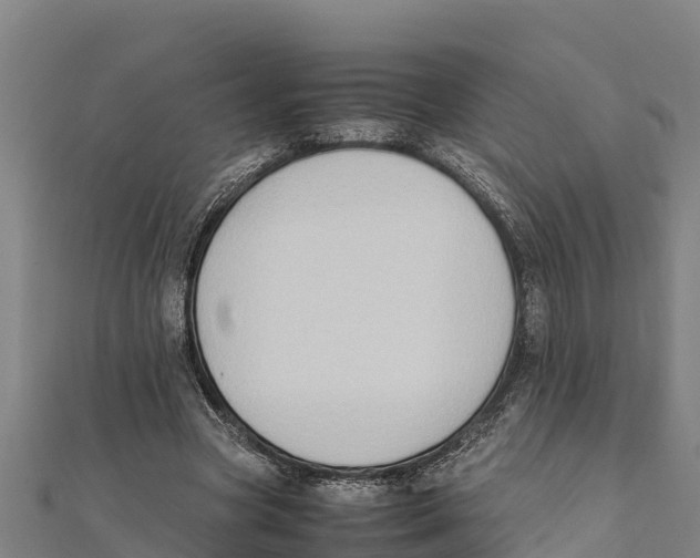 X0000111600537200908131405