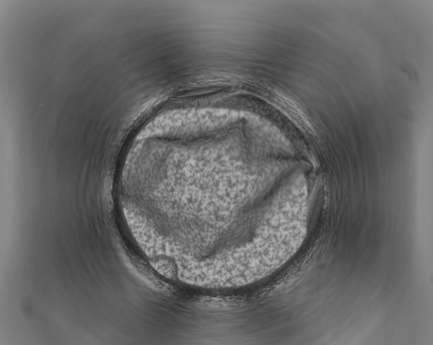 X0000111600538200908131405