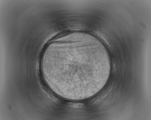 X0000111600539200908131405