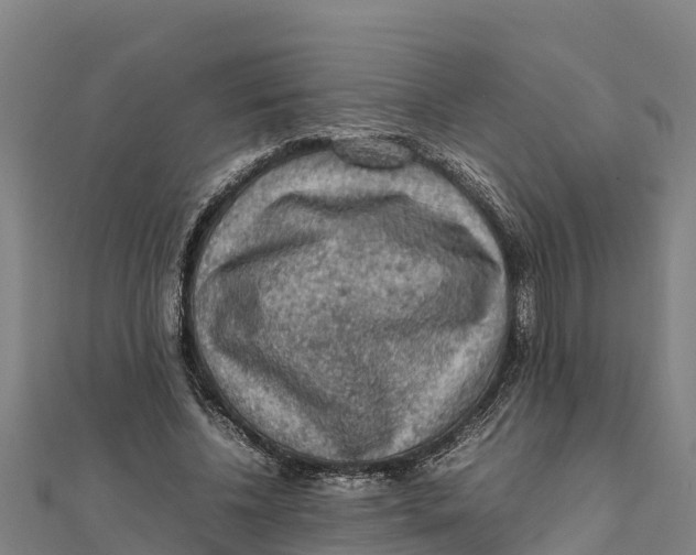 X0000111600540200908131405