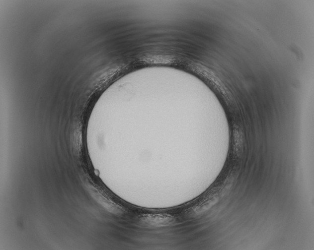 X0000111600541200908131405