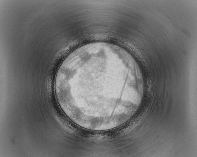 X0000111600542200908131405