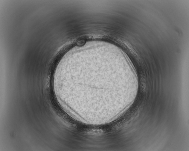 X0000111600543200908131405