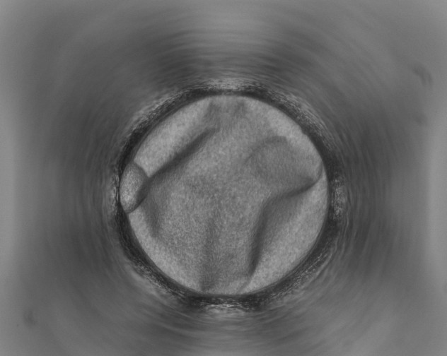 X0000111600544200908131405