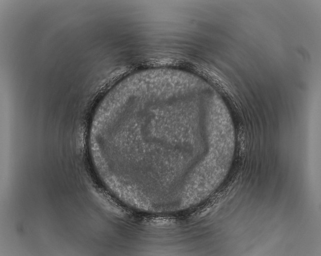 X0000111600546200908131405