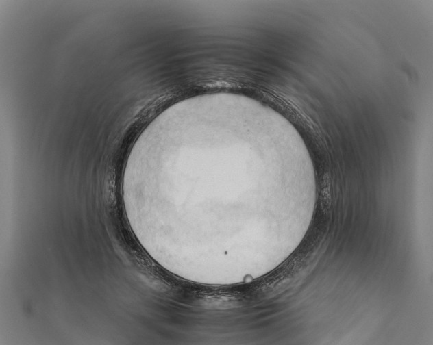 X0000111600547200908131405