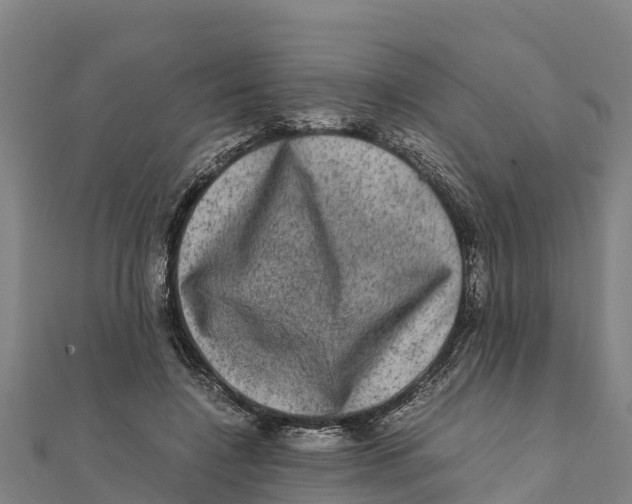 X0000111600548200908131405