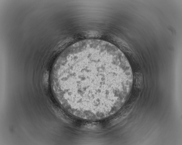 X0000111600550200908131405