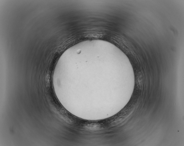 X0000111600551200908131405
