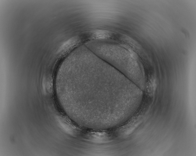 X0000111600552200908131405