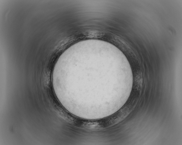 X0000111600554200908131405