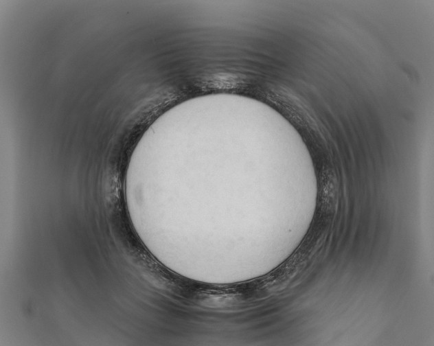 X0000111600555200908131405