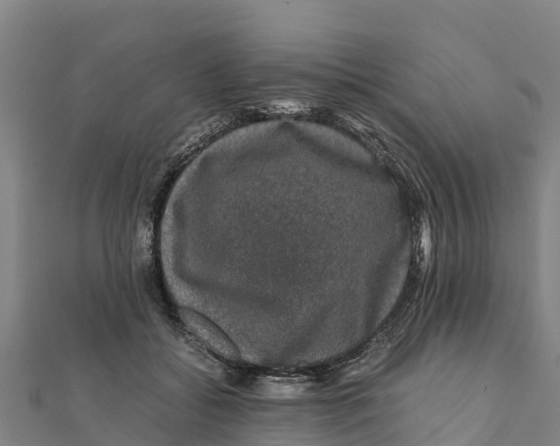 X0000111600556200908131405