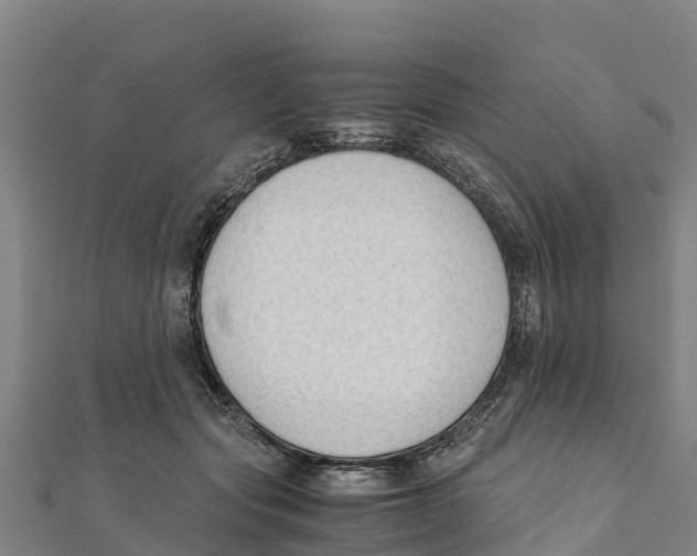 X0000111600557200908131405