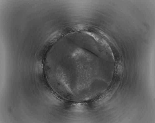 X0000111600558200908131405