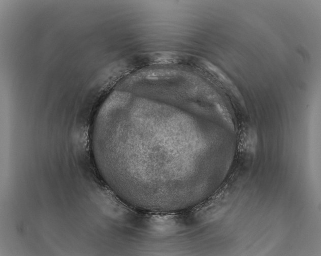X0000111600560200908131405
