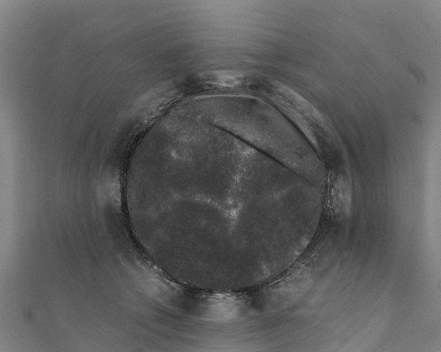 X0000111600562200908131405