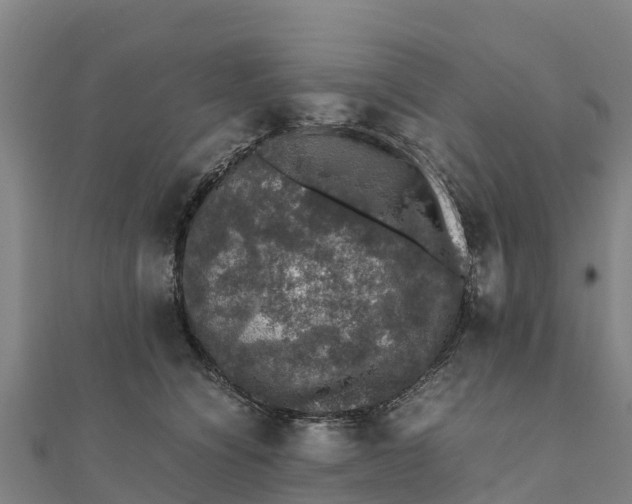 X0000111600564200908131406