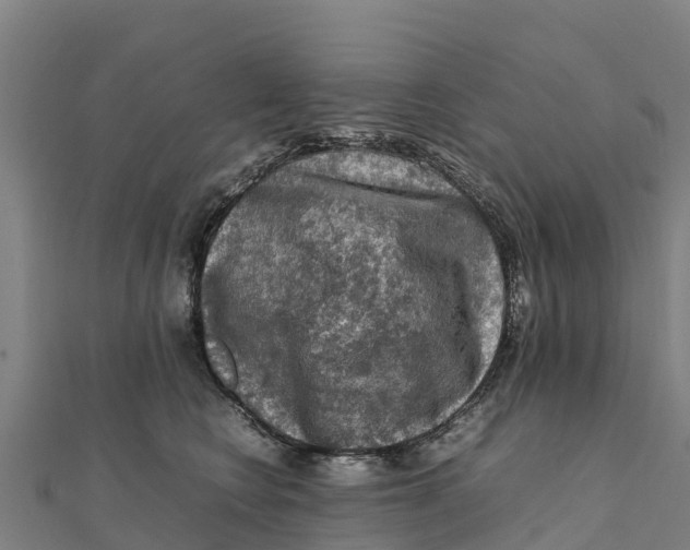X0000111600566200908131406