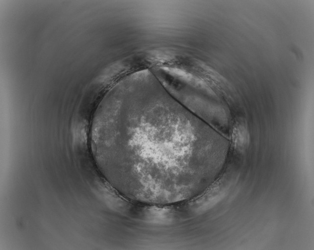 X0000111600570200908131406