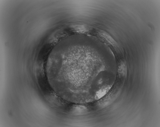 X0000111600572200908131406
