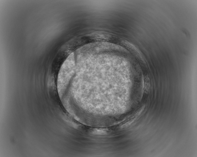 X0000111600573200908131406