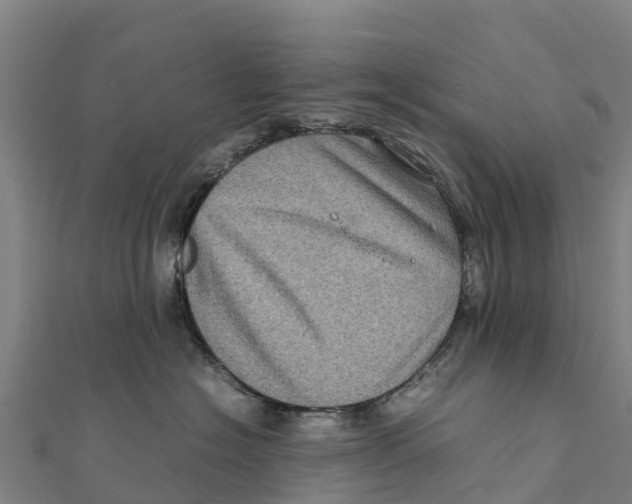 X0000111600574200908131406