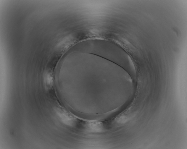 X0000111600576200908131406