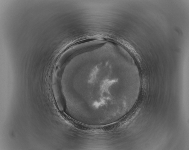 X0000111600577200908131405