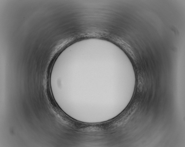 X0000111600578200908131405