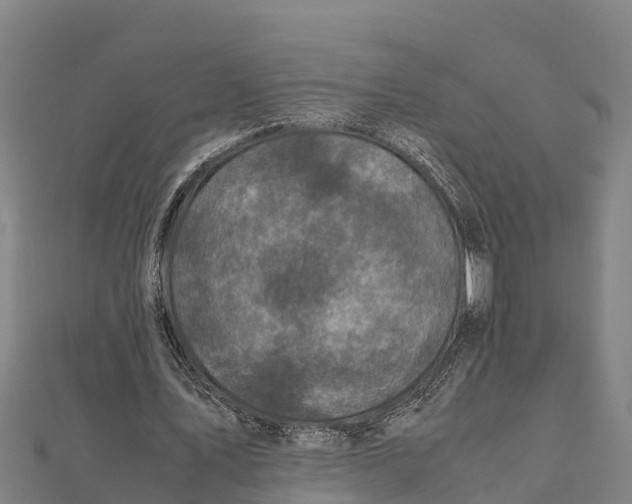 X0000111600579200908131405