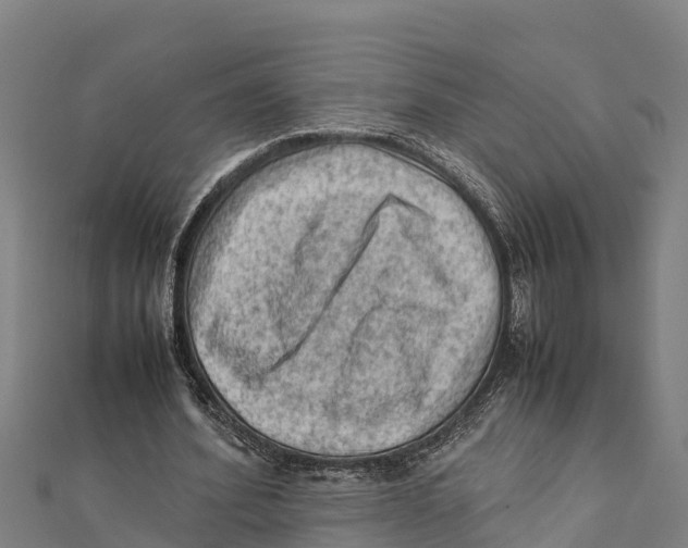 X0000111600580200908131405