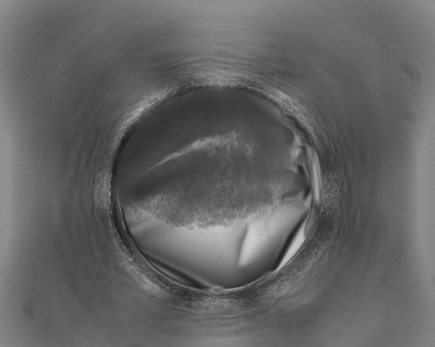 X0000111600581200908131405