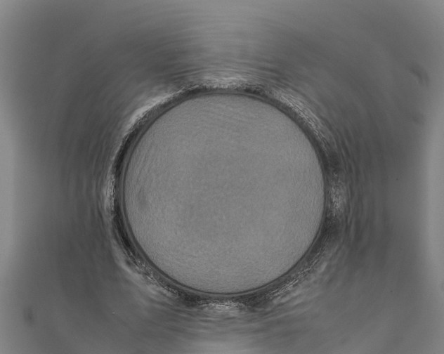 X0000111600583200908131405