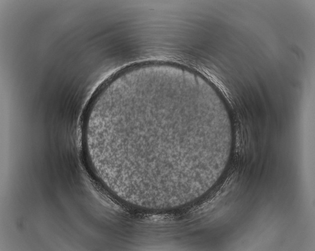 X0000111600584200908131405