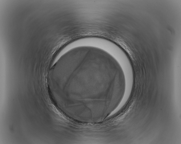 X0000111600585200908131405