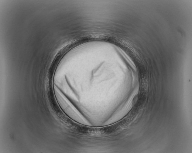 X0000111600587200908131405