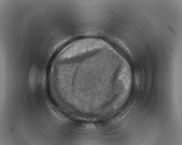 X0000111600588200908131405