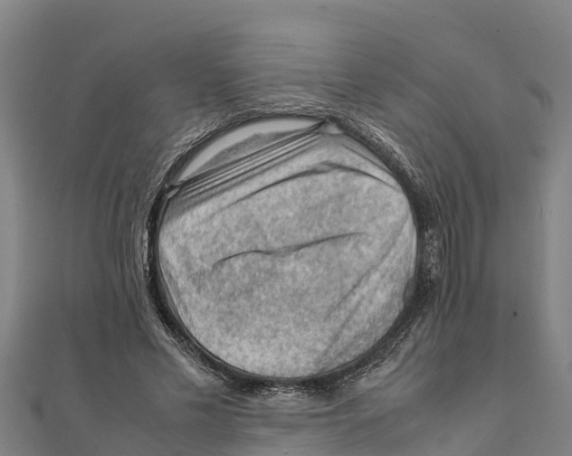 X0000111600589200908131405
