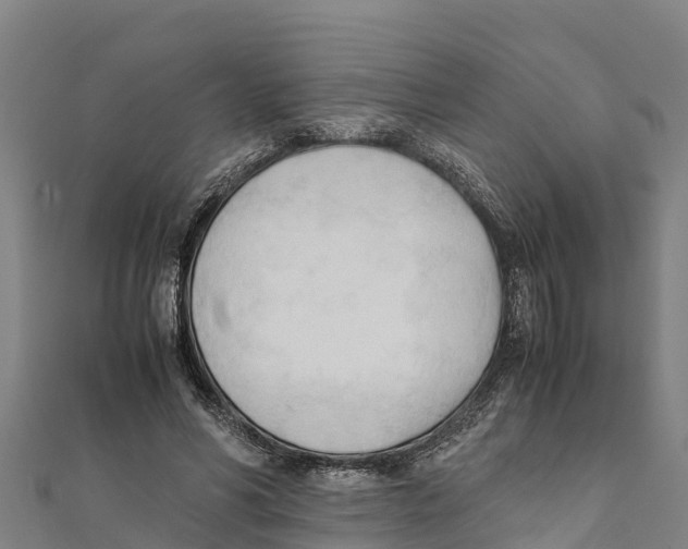 X0000111600590200908131405
