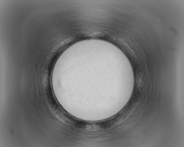 X0000111600591200908131405
