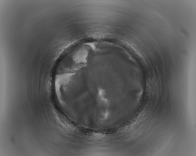 X0000111600592200908131405
