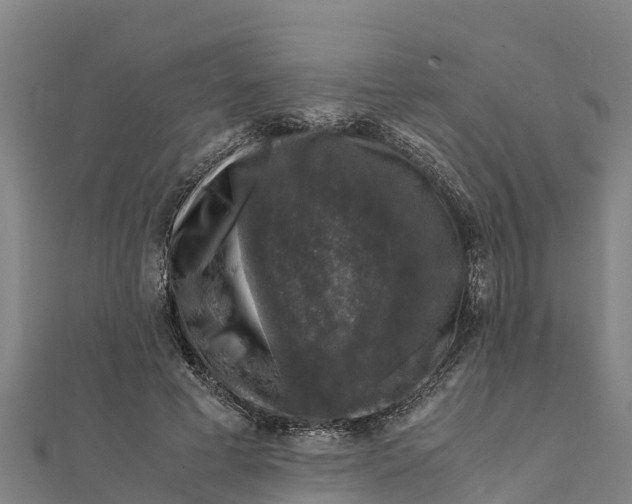 X0000111600593200908131405