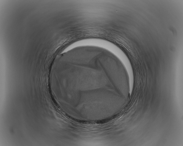 X0000111600595200908131405