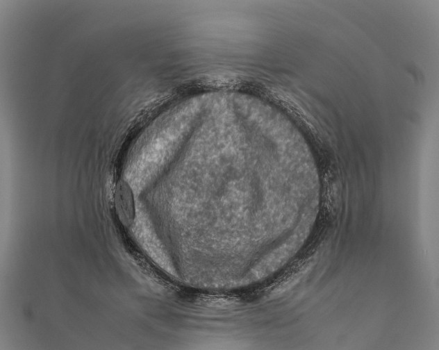 X0000111600597200908131405